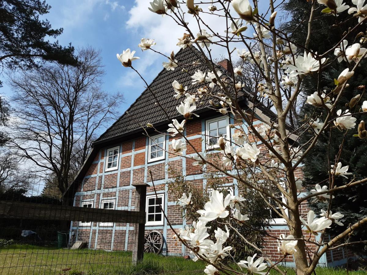 Schoenes Apartment Vor Den Toren Hamburgs - Keine Monteurwohnung Asendorf エクステリア 写真