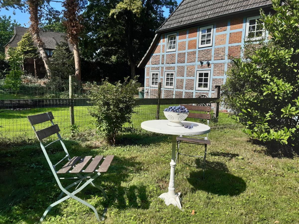 Schoenes Apartment Vor Den Toren Hamburgs - Keine Monteurwohnung Asendorf エクステリア 写真